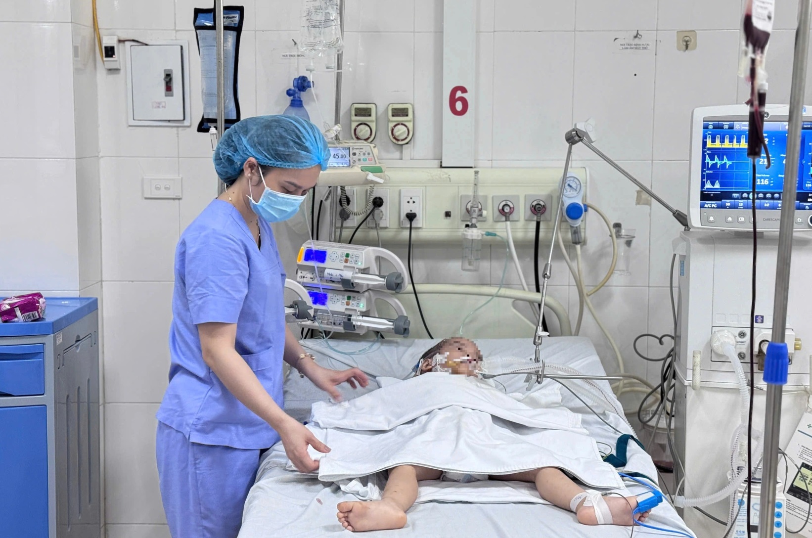 hóc quả nhãn